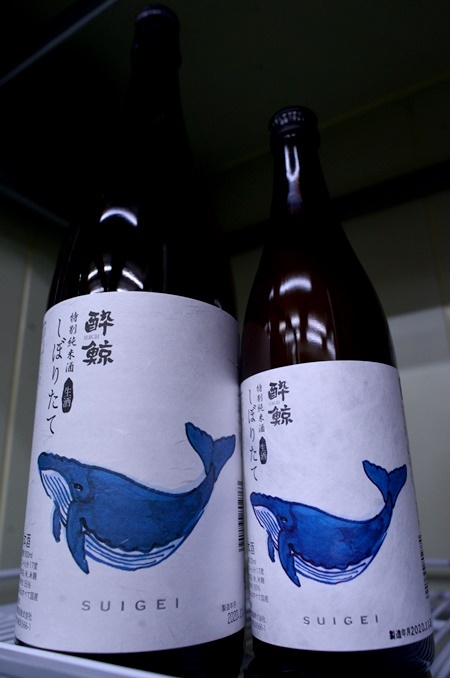 酔鯨 特別純米酒 しぼりたて生 | 入荷情報 | 酒舗よこぜき